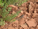 photo thumbnail #9