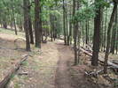 photo thumbnail #2