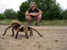 photo thumbnail #4