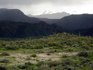 photo thumbnail #13