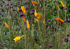 photo thumbnail #14