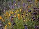 photo thumbnail #15