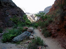photo thumbnail #11