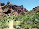 photo thumbnail #8