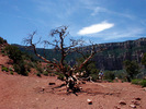 photo thumbnail #9
