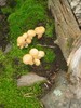 photo thumbnail #13