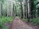 photo thumbnail #7