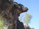 photo thumbnail #3