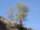 photo thumbnail #4