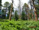 photo thumbnail #4