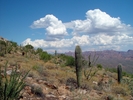 photo thumbnail #12
