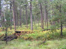 photo thumbnail #2