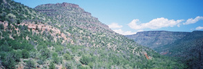 photo thumbnail #5