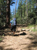 photo thumbnail #5