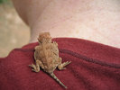 photo thumbnail #8