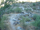 photo thumbnail #3