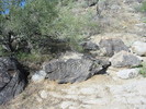 photo thumbnail #9
