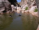 photo thumbnail #9