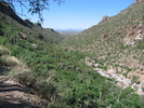 photo thumbnail #5