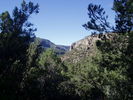 photo thumbnail #11