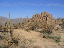 photo thumbnail #2