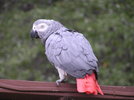 photo thumbnail #9