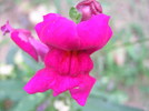 photo thumbnail #11