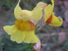 photo thumbnail #12