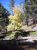 photo thumbnail #5