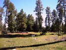 photo thumbnail #9