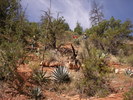 photo thumbnail #4
