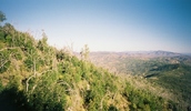 photo thumbnail #13