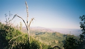 photo thumbnail #14
