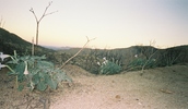 photo thumbnail #15