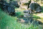 photo thumbnail #10