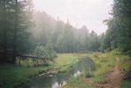 photo thumbnail #14