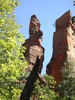 photo thumbnail #3