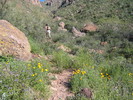 photo thumbnail #2