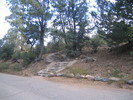 photo thumbnail #1
