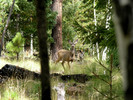 photo thumbnail #3