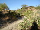 photo thumbnail #5