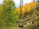 photo thumbnail #5