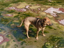 photo thumbnail #10