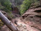 photo thumbnail #11