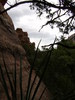 photo thumbnail #2