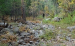 photo thumbnail #9
