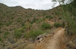 photo thumbnail #5