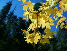 photo thumbnail #10