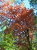 photo thumbnail #11
