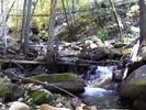 photo thumbnail #15